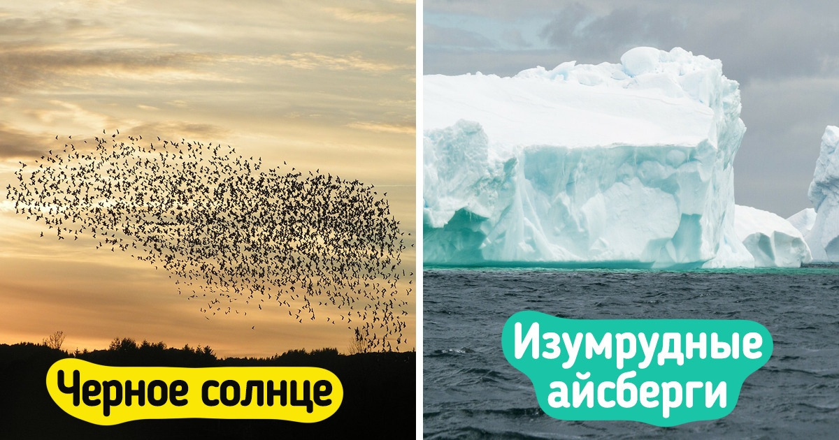 10 природных явлений, которые мало кто видел. А те, кто видел, забудут не скоро 10 природных явлений, которые мало кто видел. А те, кто видел, забудут не скоро