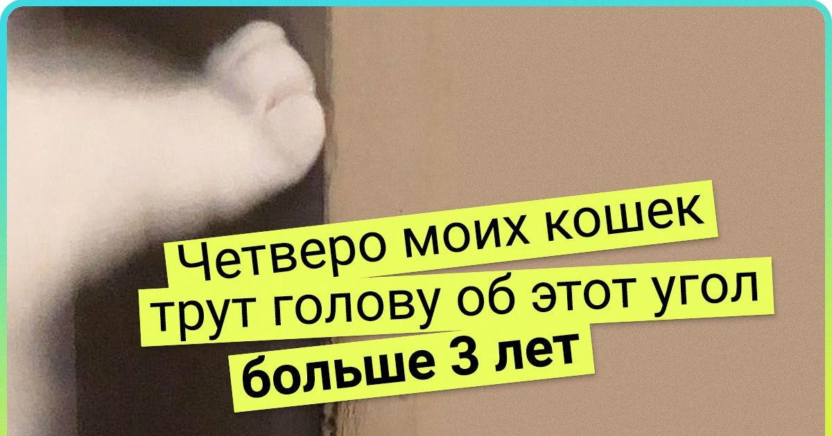 20 доказательств того, что время — архитектор, работающий без выходных