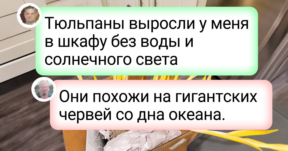 15+ фотографий из серии «Ни за что бы не поверил, если бы своими глазами не увидел» 15+ фотографий из серии «Ни за что бы не поверил, если бы своими глазами не увидел»