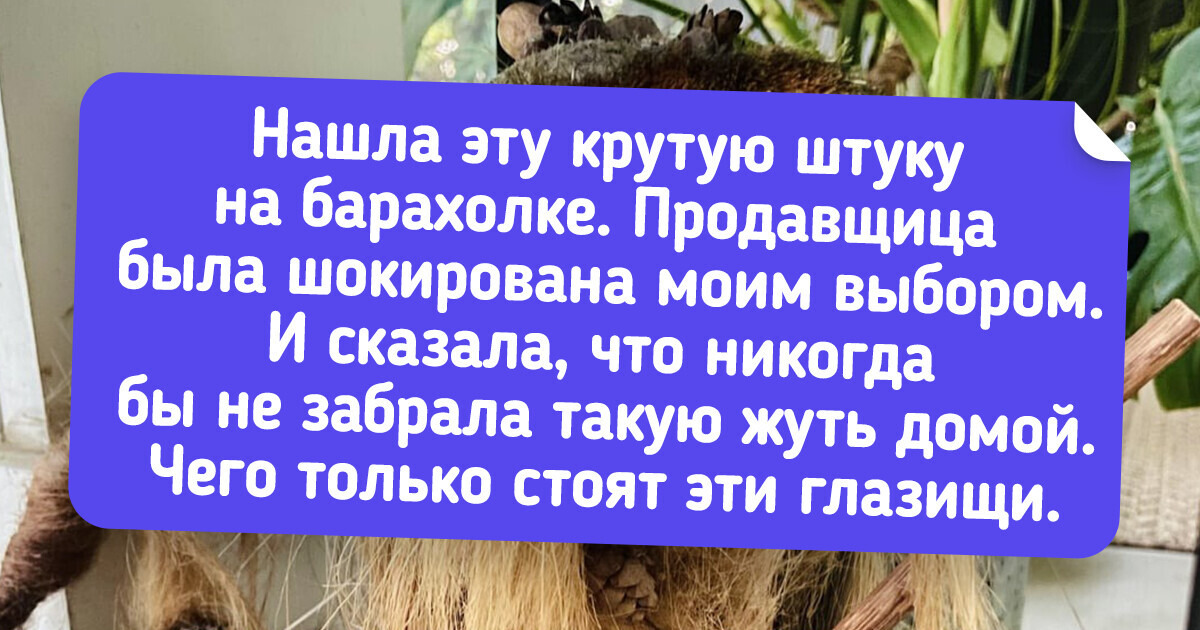 16 человек, чьи находки оказались для них настоящими сокровищами