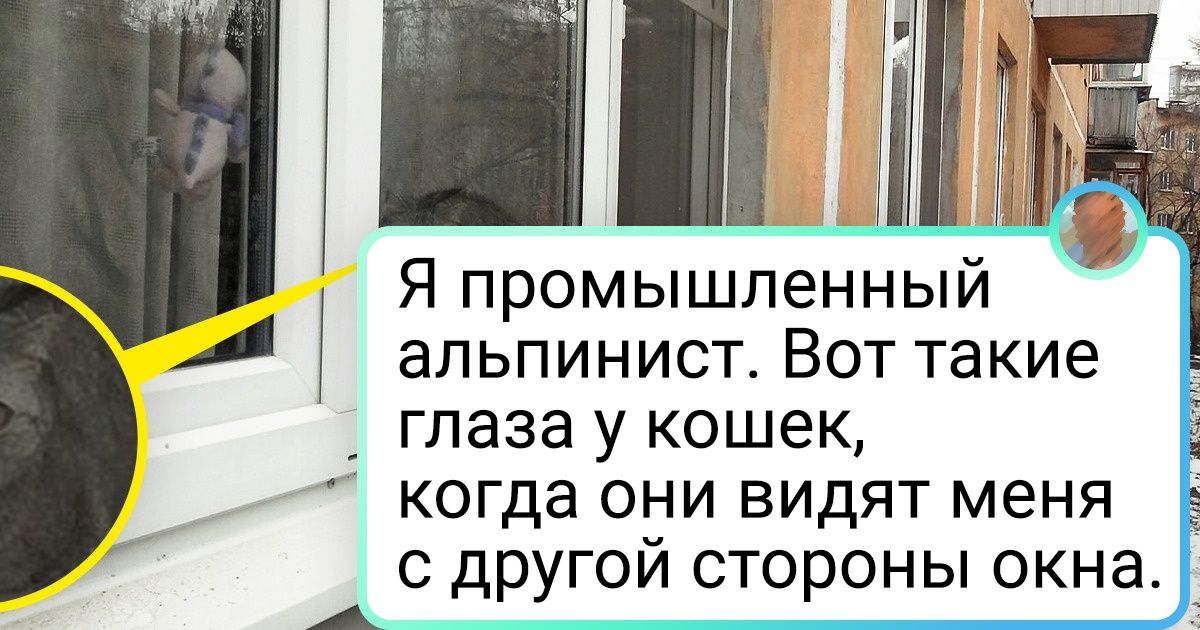 19 человек рассказали о неожиданных плюсах своей работы, из-за которых и понедельники бывают в радость