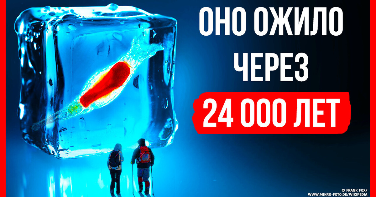 Древнее существо ожило после 24 000 лет вечной мерзлоты