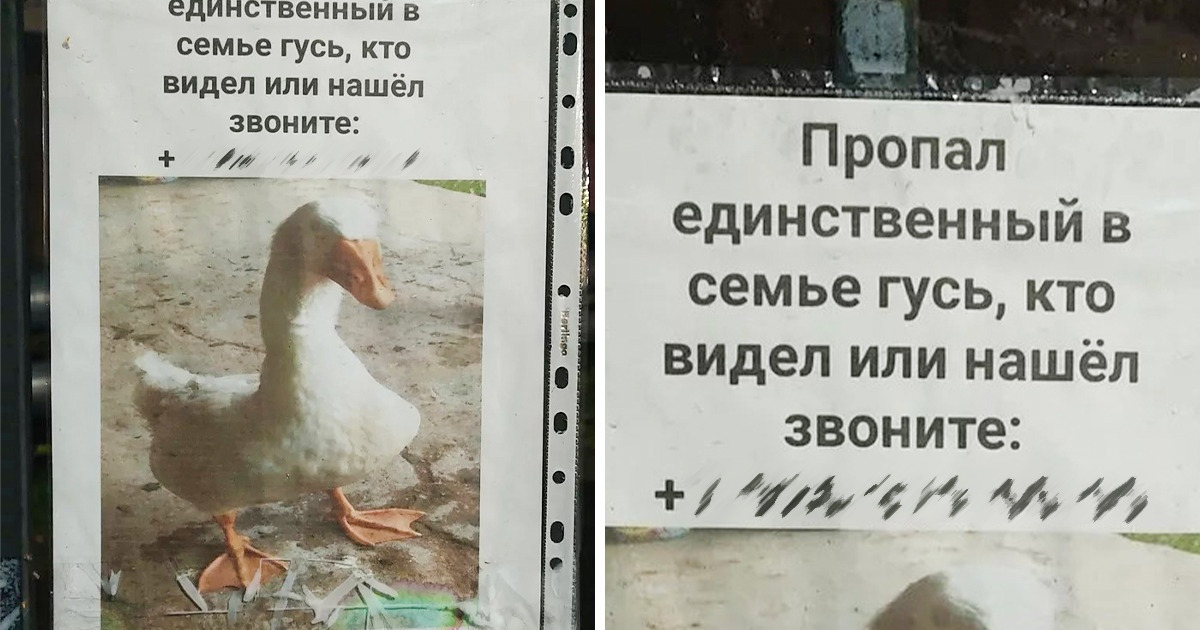 19 объявлений, на которые только взглянешь — и сразу же расплываешься в улыбке 19 объявлений, на которые только взглянешь — и сразу же расплываешься в улыбке