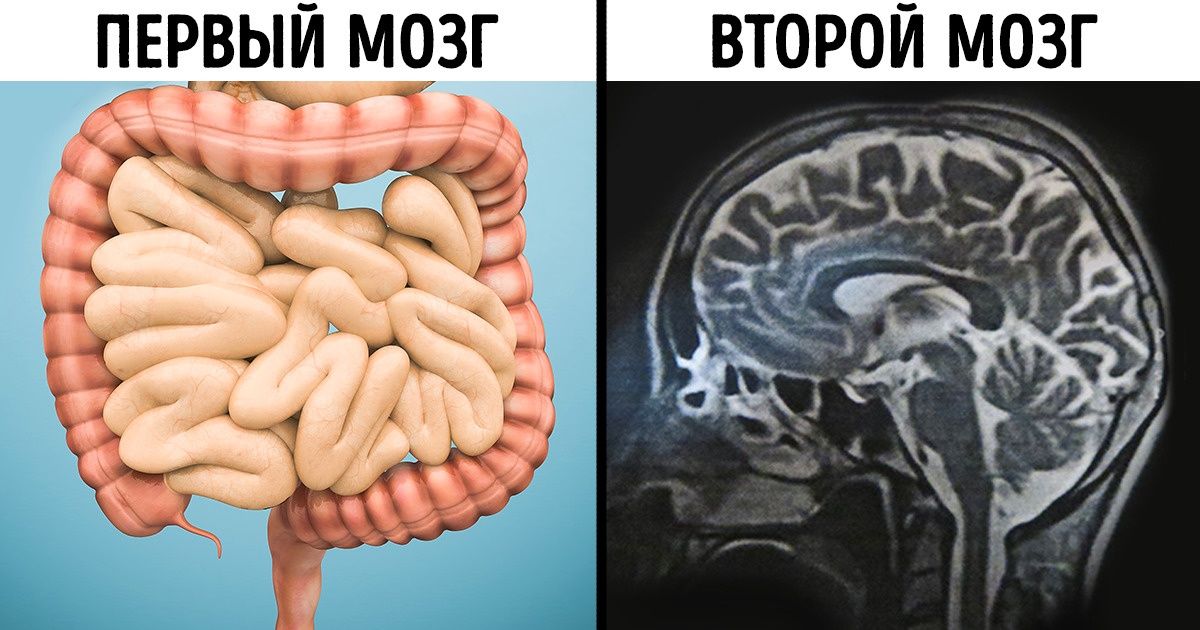 14 фактов о нашем теле, в которые верится с трудом (Да, сердце может изменить свою форму) 14 фактов о нашем теле, в которые верится с трудом (Да, сердце может изменить свою форму)