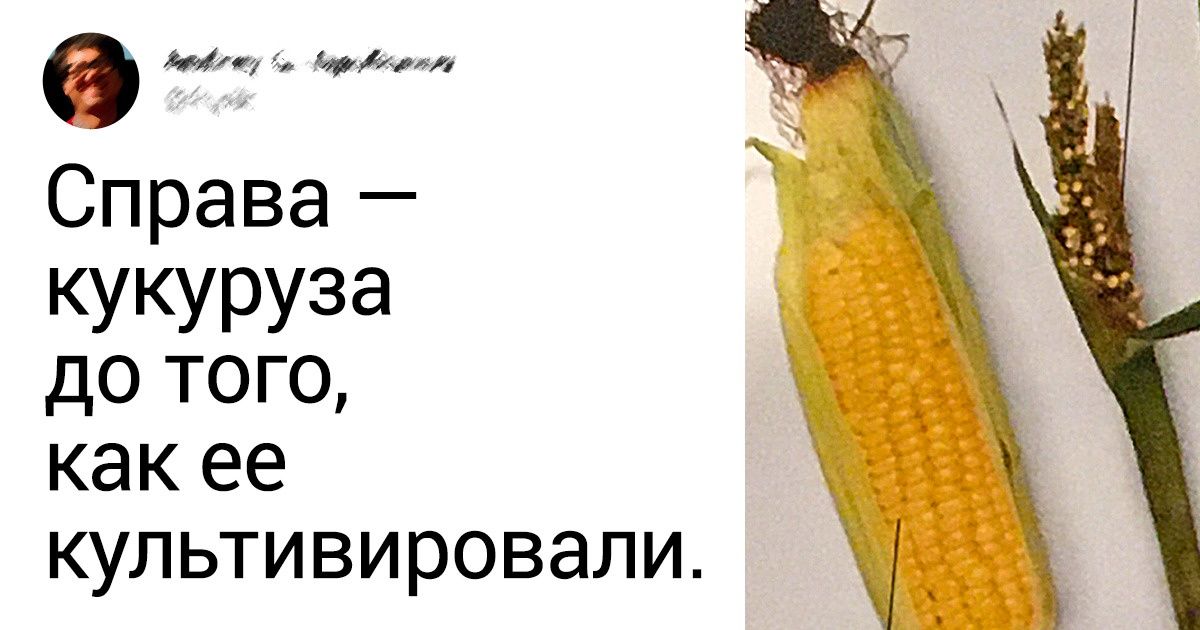 20 пользователей, от которых ничего не утаишь 20 пользователей, от которых ничего не утаишь