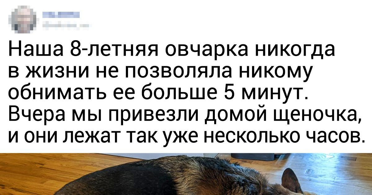 16 душевных фото, от которых останется трепетный след в сердце на весь день 16 душевных фото, от которых останется трепетный след в сердце на весь день