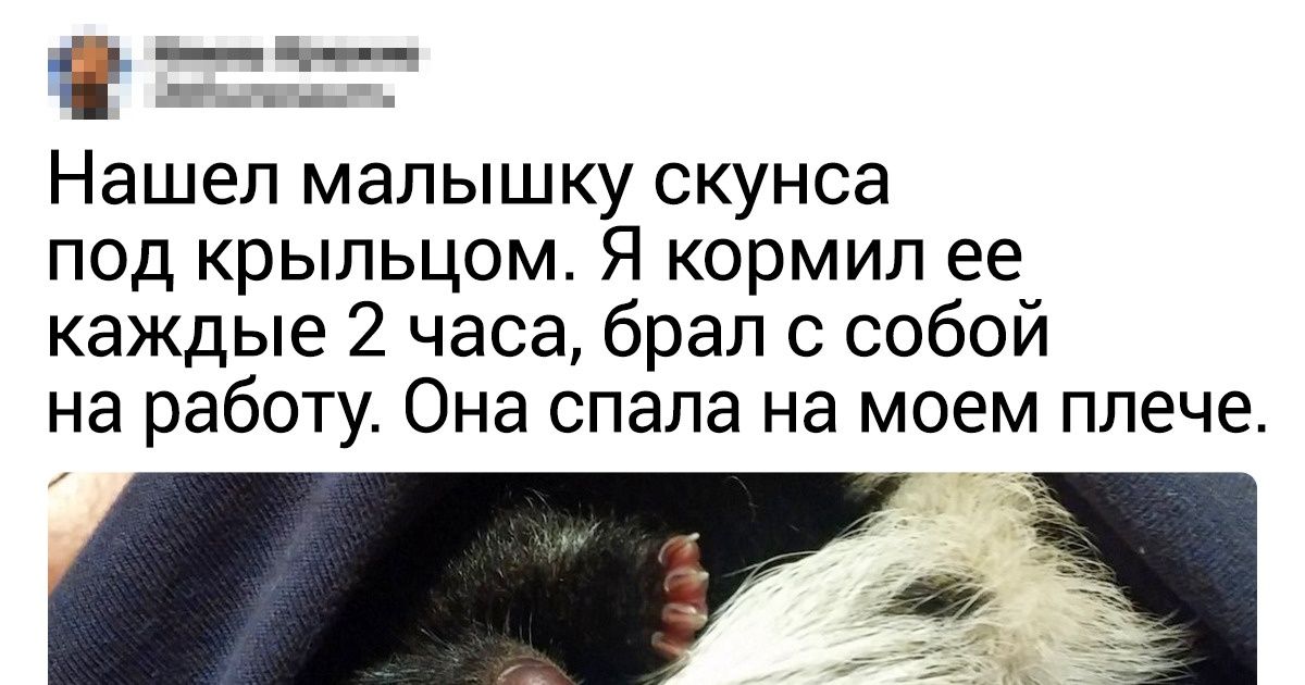 20+ детенышей животных, встречу с которыми будет трудно забыть