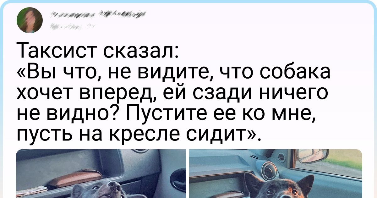 20+ случаев, когда клиентов обслужили так, что они растаяли от умиления. А потом рассказали об этом в сети 20+ случаев, когда клиентов обслужили так, что они растаяли от умиления. А потом рассказали об этом в сети