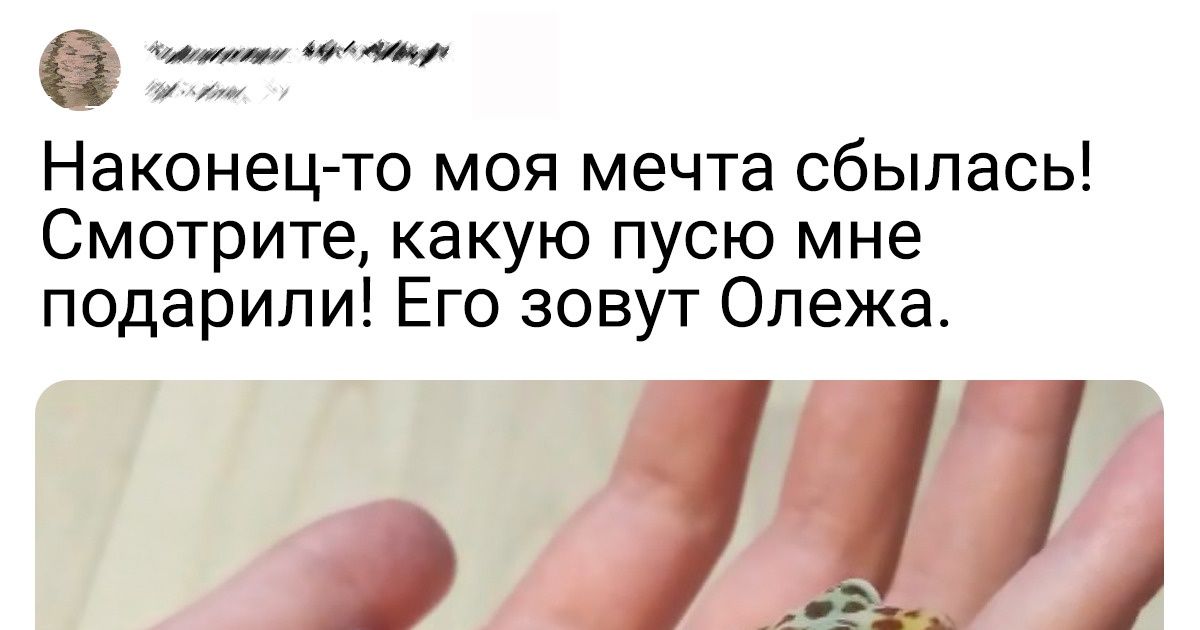 20+ исключительных подарков от близких, которые попали в самое яблочко 20+ исключительных подарков от близких, которые попали в самое яблочко