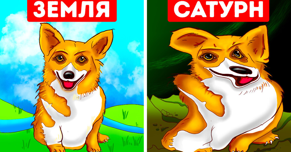 Как бы выглядели ваши питомцы на других планетах Как бы выглядели ваши питомцы на других планетах