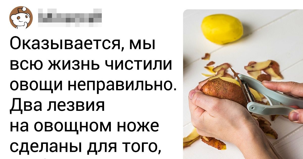 10 фактов, которые перевернут представление о привычных вещах