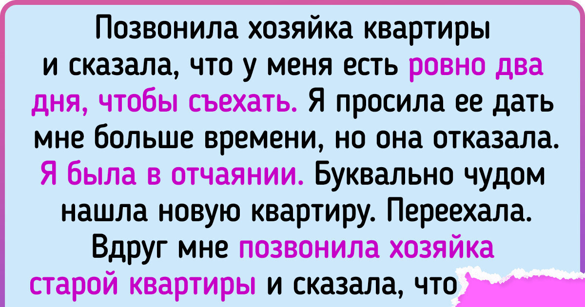 16 историй о том, как порой непросто бывает снять жилье 16 историй о том, как порой непросто бывает снять жилье