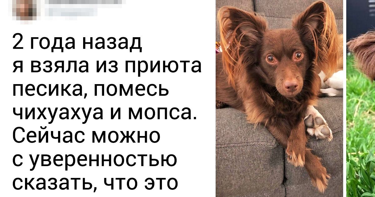 15+ доказательств того, что время меняет все до неузнаваемости 15+ доказательств того, что время меняет все до неузнаваемости