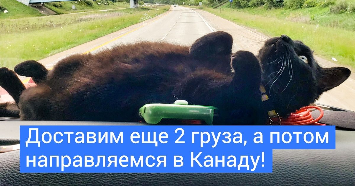 20+ водителей грузовиков, которые взяли себе в напарники пушистых морд 20+ водителей грузовиков, которые взяли себе в напарники пушистых морд