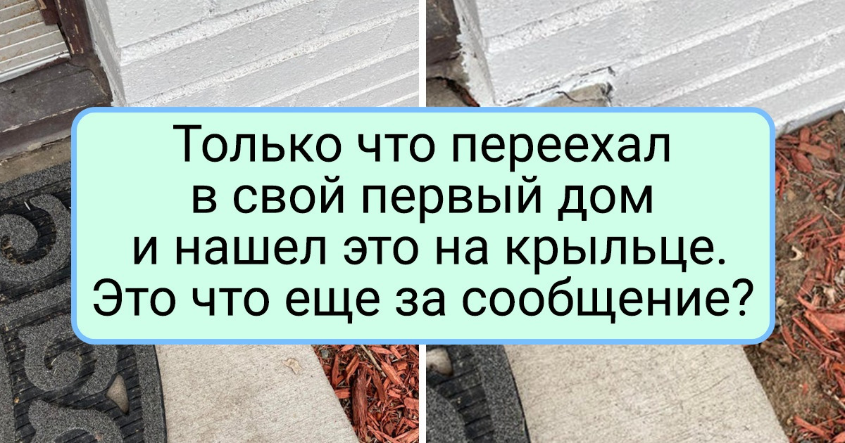 17 человек, которые просто опустили глаза и обнаружили фееричную находку