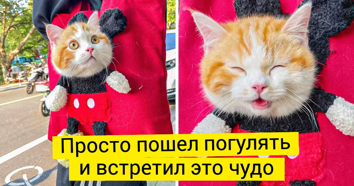 20 слегка детских вещей, на которые смотришь и сразу думаешь: «Блин, мне тоже надо» 20 слегка детских вещей, на которые смотришь и сразу думаешь: «Блин, мне тоже надо»