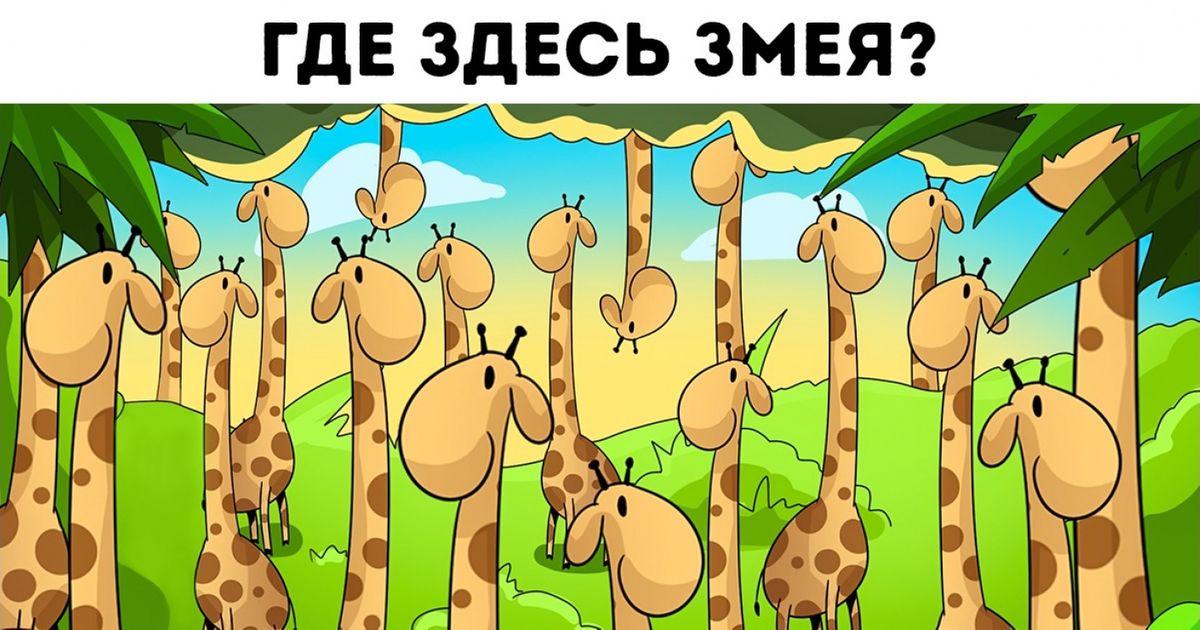 Где здесь картинки