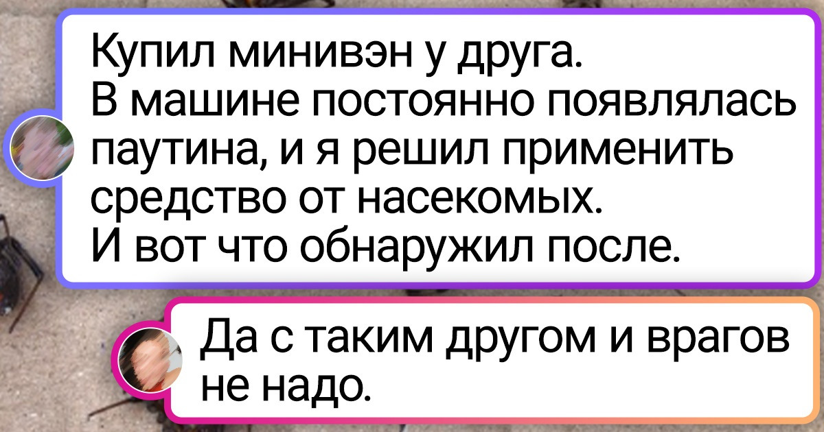 18 доказательств того, что друзья и близкие порой бесят похлеще запутавшихся наушников 18 доказательств того, что друзья и близкие порой бесят похлеще запутавшихся наушников