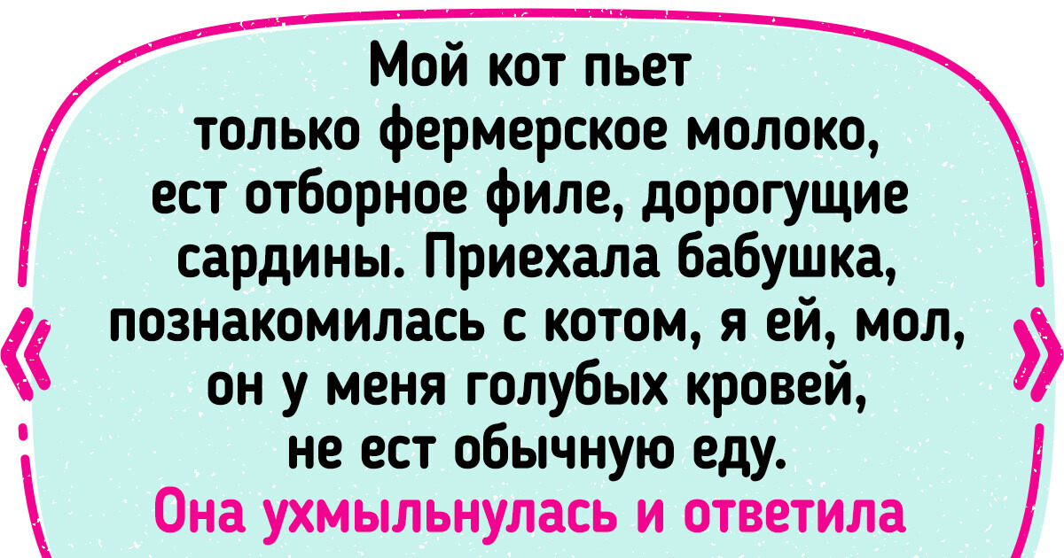 20 котов-проказников, которые не дают своим хозяевам скучать 20 котов-проказников, которые не дают своим хозяевам скучать