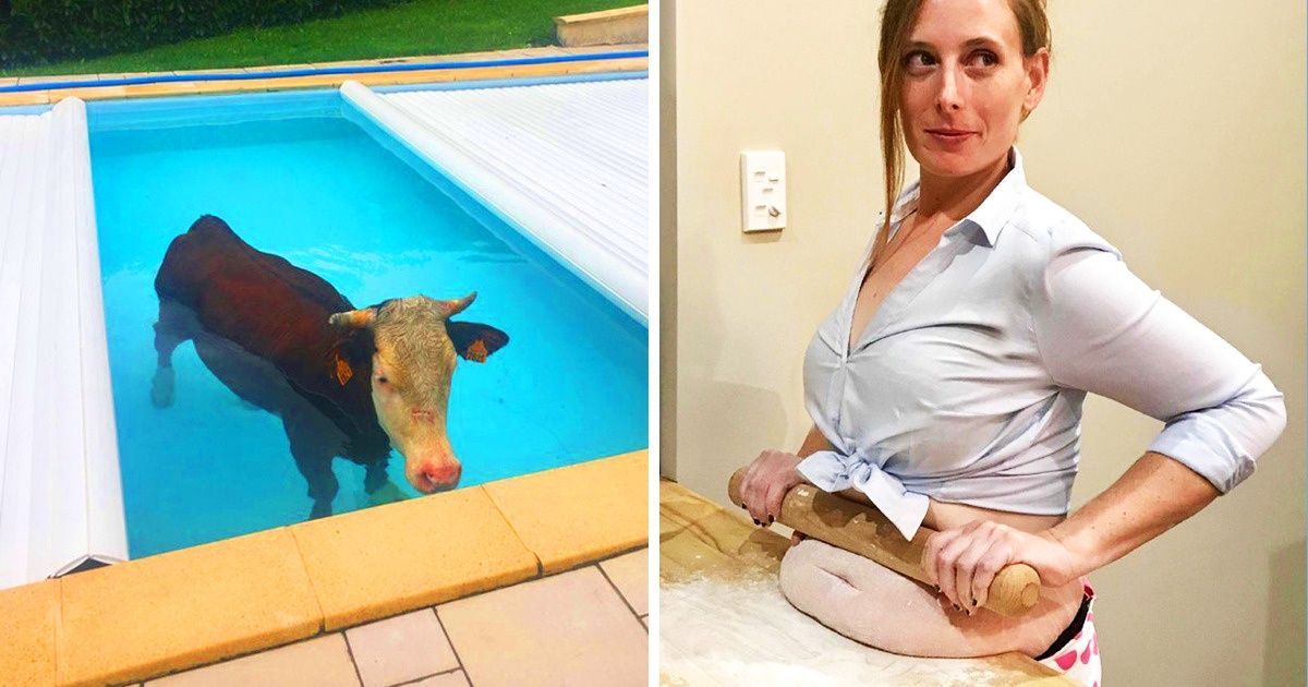15 фото, которые заставят вас поломать голову над тем, что там вообще происходит 15 фото, которые заставят вас поломать голову над тем, что там вообще происходит