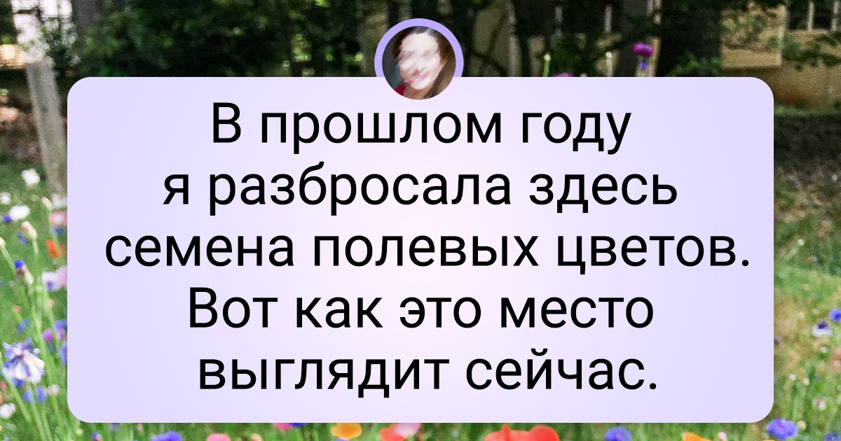 19 ярких доказательств того, что природе не нужен фотошоп 19 ярких доказательств того, что природе не нужен фотошоп