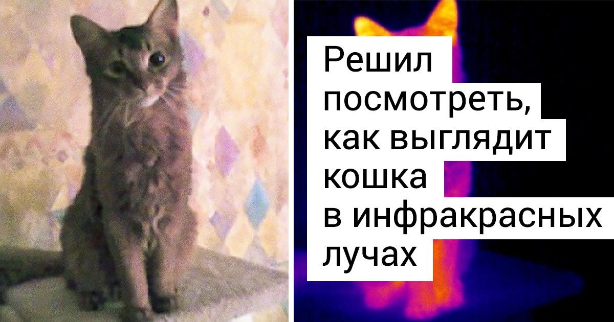 Фотографии, сделанные тепловизором, которые позволят вам взглянуть на мир под другим углом