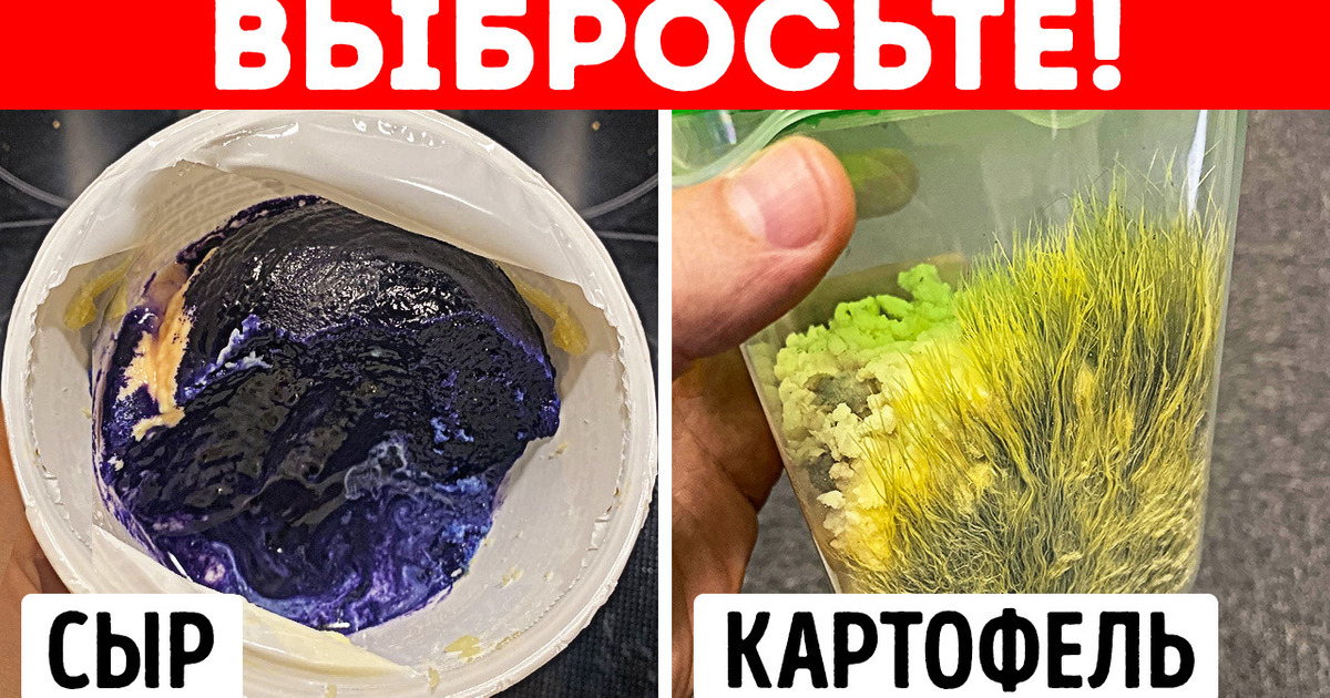 Причудливая красота плесени: странная, но завораживающая