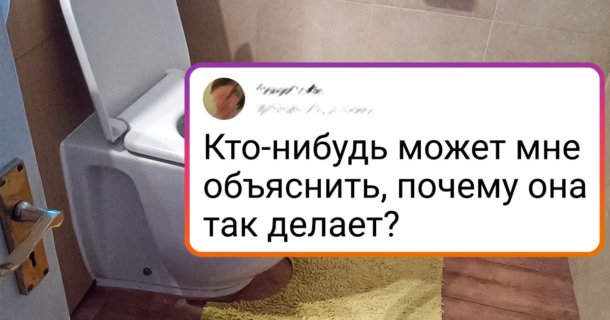 20 кошек, у которых окончательно и бесповоротно слетели стандартные настройки 20 кошек, у которых окончательно и бесповоротно слетели стандартные настройки