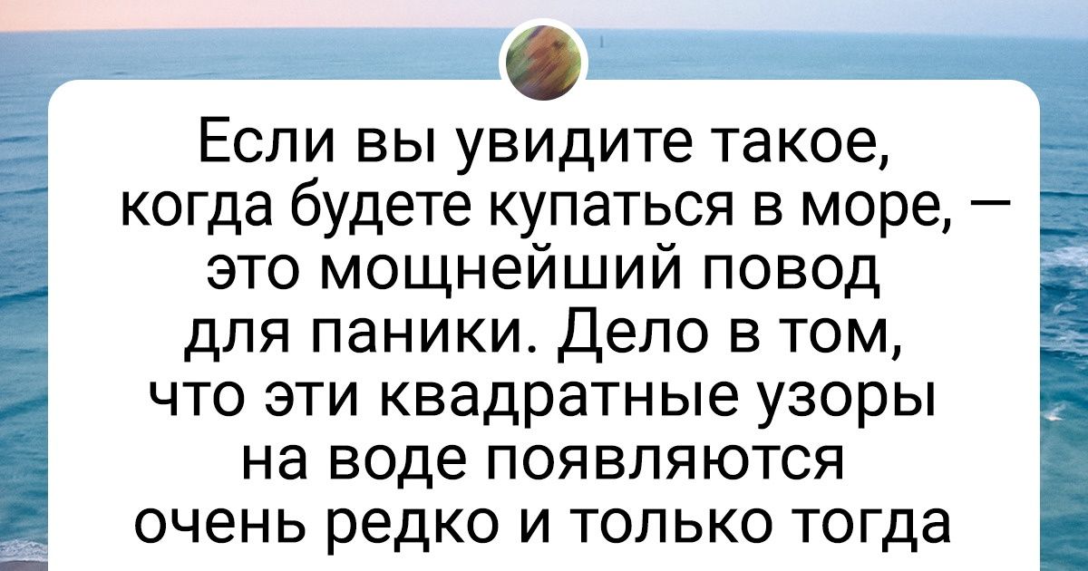 20+ человек, которым удалось сфотографировать то, чего даже в учебниках нет 20+ человек, которым удалось сфотографировать то, чего даже в учебниках нет