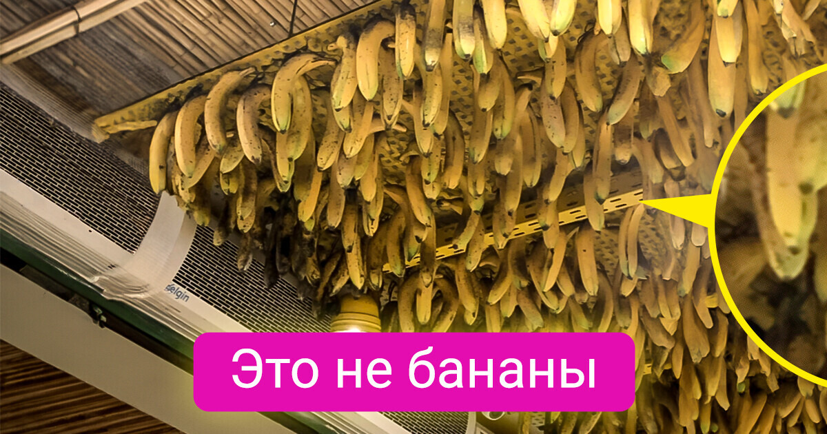 16 фото, которые выглядят как оптическая иллюзия 16 фото, которые выглядят как оптическая иллюзия