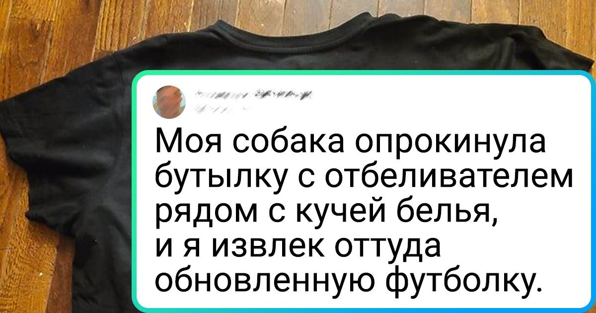 15 ситуаций, когда волей случая были созданы маленькие шедевры 15 ситуаций, когда волей случая были созданы маленькие шедевры