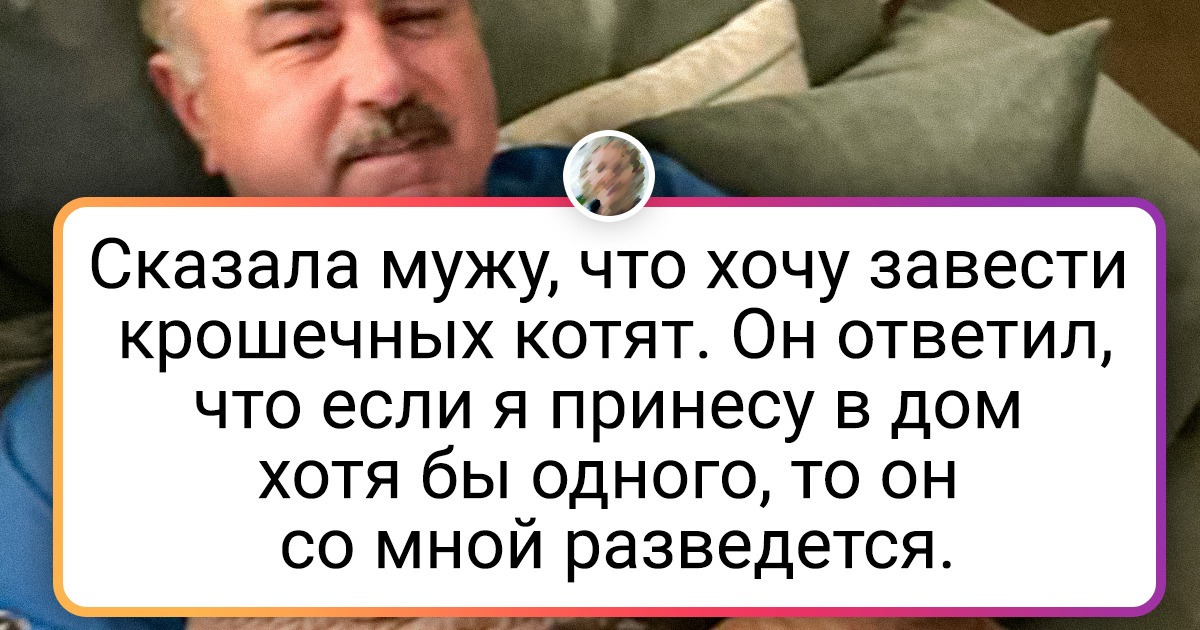 15+ человек, которые ни в какую не хотели заводить домашних питомцев, а теперь в них души не чают