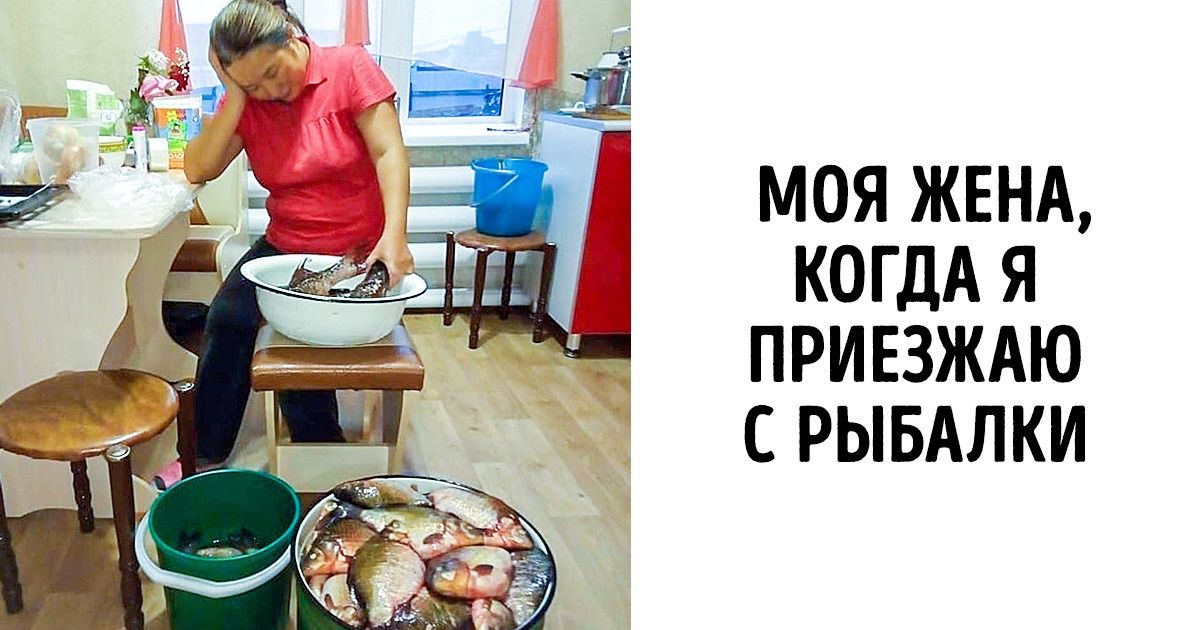 20+ людей и животных, которые слегка перестарались 20+ людей и животных, которые слегка перестарались