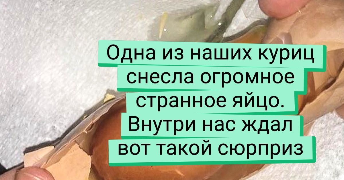 20+ везунчиков, которые столкнулись с чем-то уникальным и вовремя выхватили телефон 20+ везунчиков, которые столкнулись с чем-то уникальным и вовремя выхватили телефон