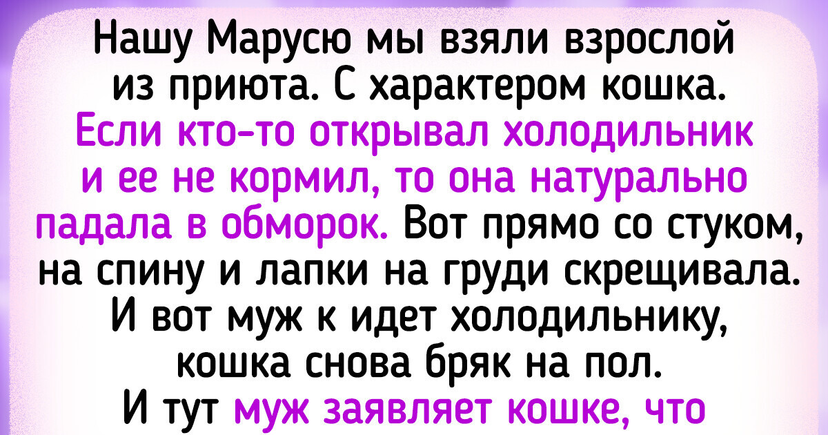 17 читателей ADME, у чьих питомцев неплохо работает их пушистая соображалка 17 читателей ADME, у чьих питомцев неплохо работает их пушистая соображалка