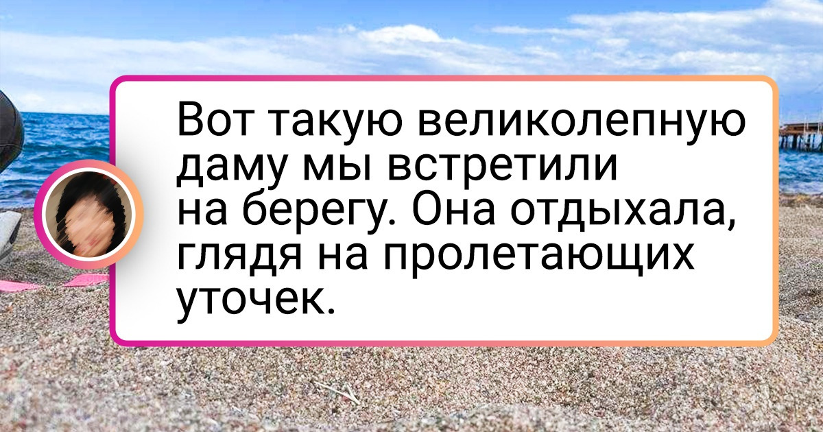 20+ случаев, когда чей-то день озарился внезапной встречей со зверушкой 20+ случаев, когда чей-то день озарился внезапной встречей со зверушкой