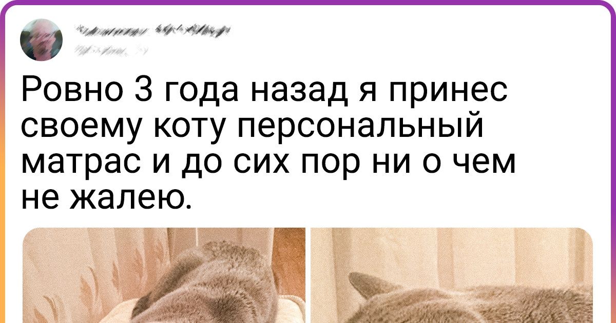 20 человек, которые души не чают в своих любимцах 20 человек, которые души не чают в своих любимцах