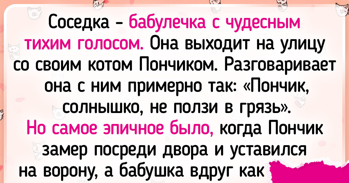 18 пушистиков, которые расцвели в заботливых руках