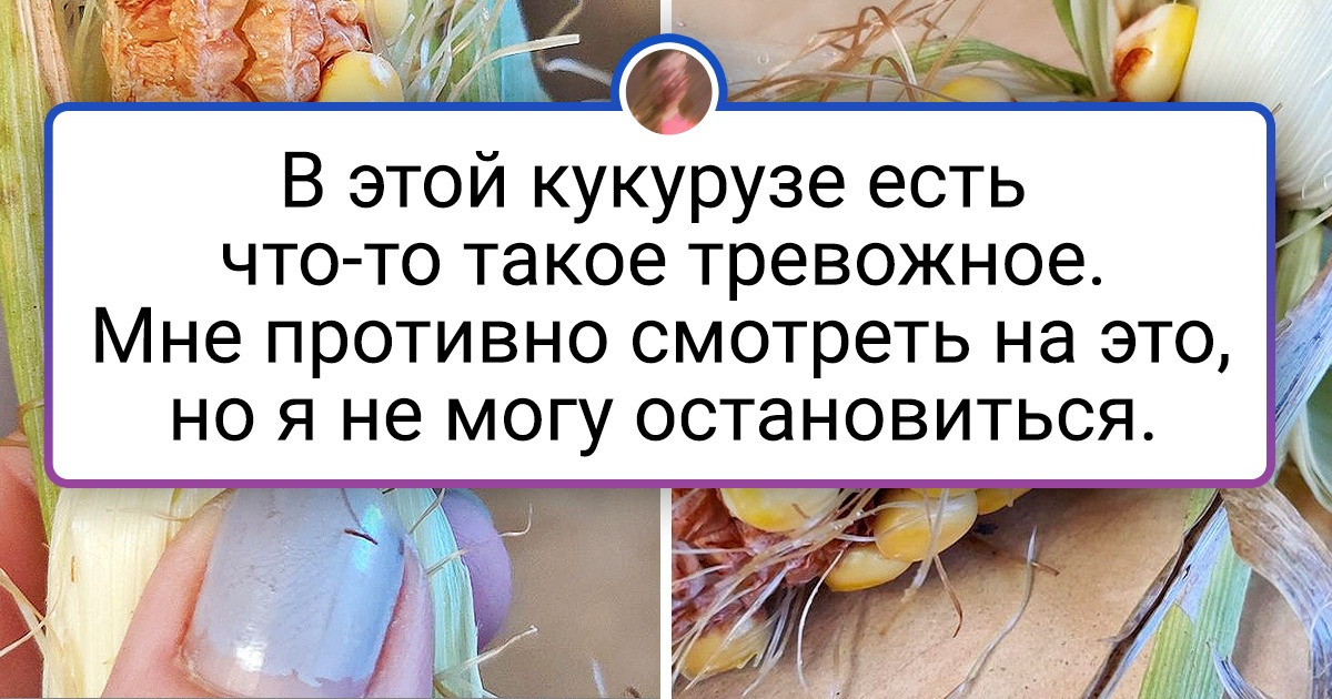 16 продуктов, которые мы едим каждый день, но такими еще не видели