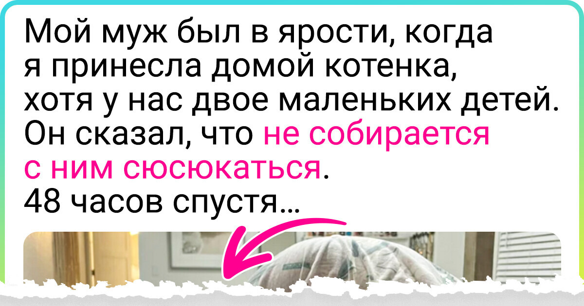 19 мужчин, чье суровое «Никаких животных!» растворилось от пушистой милоты 19 мужчин, чье суровое «Никаких животных!» растворилось от пушистой милоты