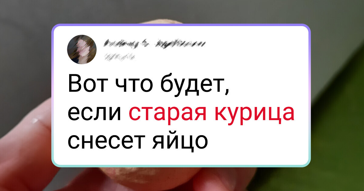 15+ человек поделились фотографиями забавных бытовых экспериментов 15+ человек поделились фотографиями забавных бытовых экспериментов