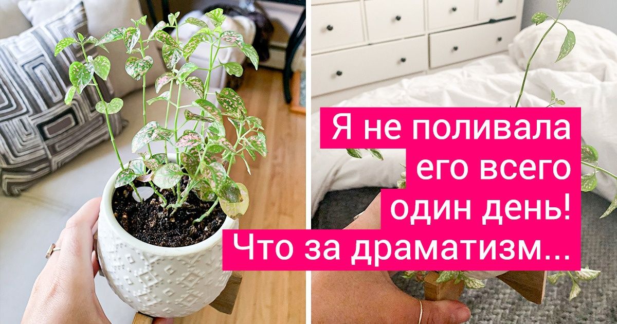 17 сравнений, в которых все понятно практически без объяснений 17 сравнений, в которых все понятно практически без объяснений