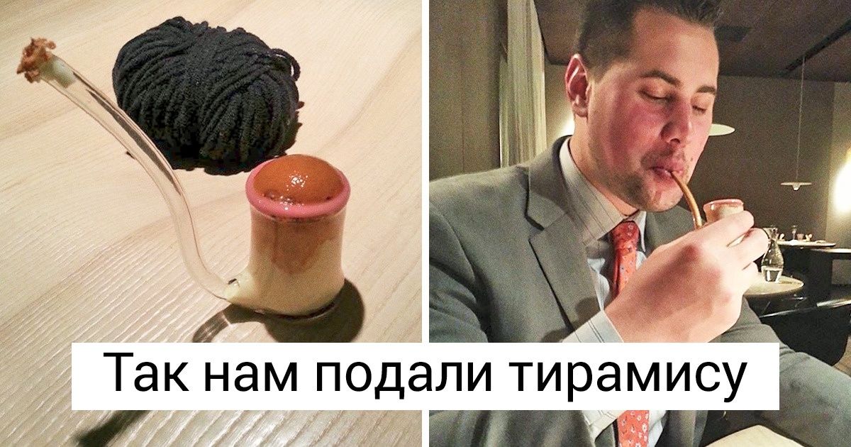5 человек показали, как выглядит еда в мишленовских ресторанах, за которую некоторым пришлось выложить $1 000