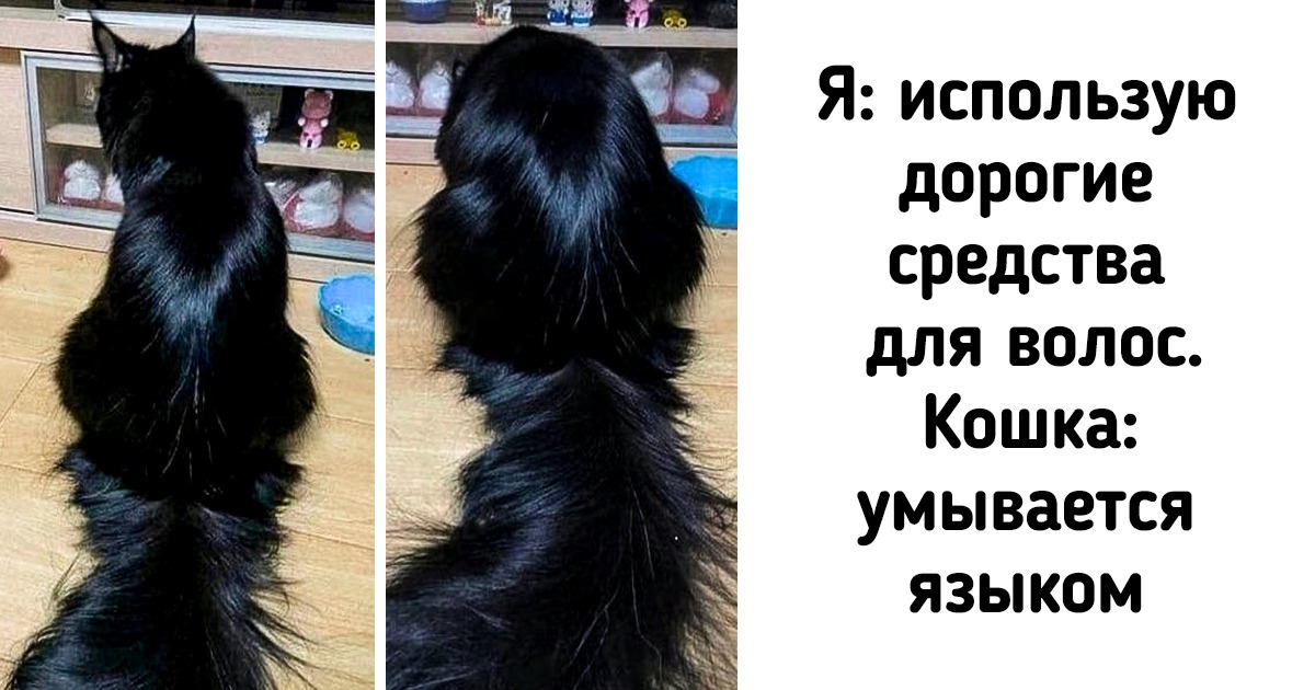 16 случаев, когда Вселенная попросила нас взять выходной 16 случаев, когда Вселенная попросила нас взять выходной