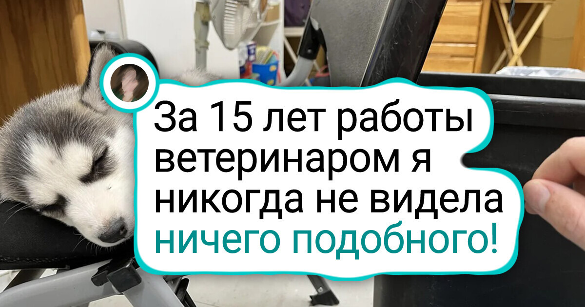 15+ редких вещей и явлений, в существовании которых трудно поверить