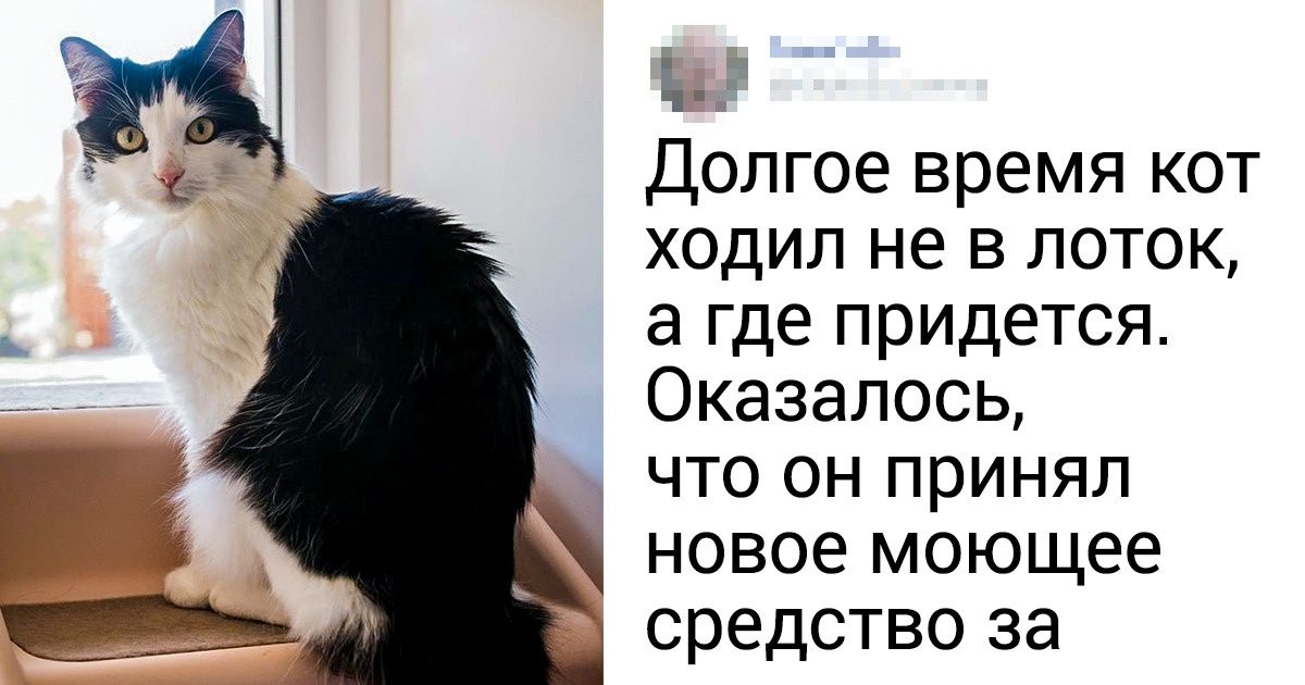 14 ошибок во время уборки, из-за которых наш дом становится еще грязнее