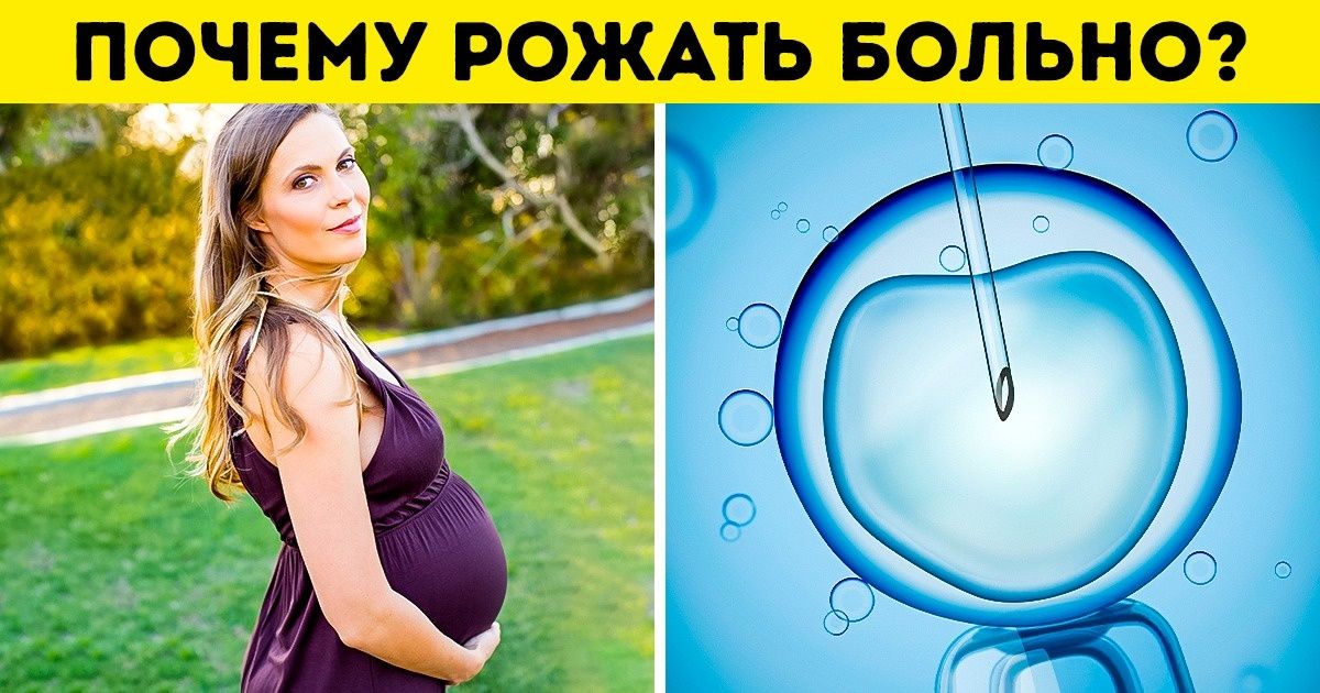 10 ошибок в строении человеческого тела, которые создают нам немало проблем