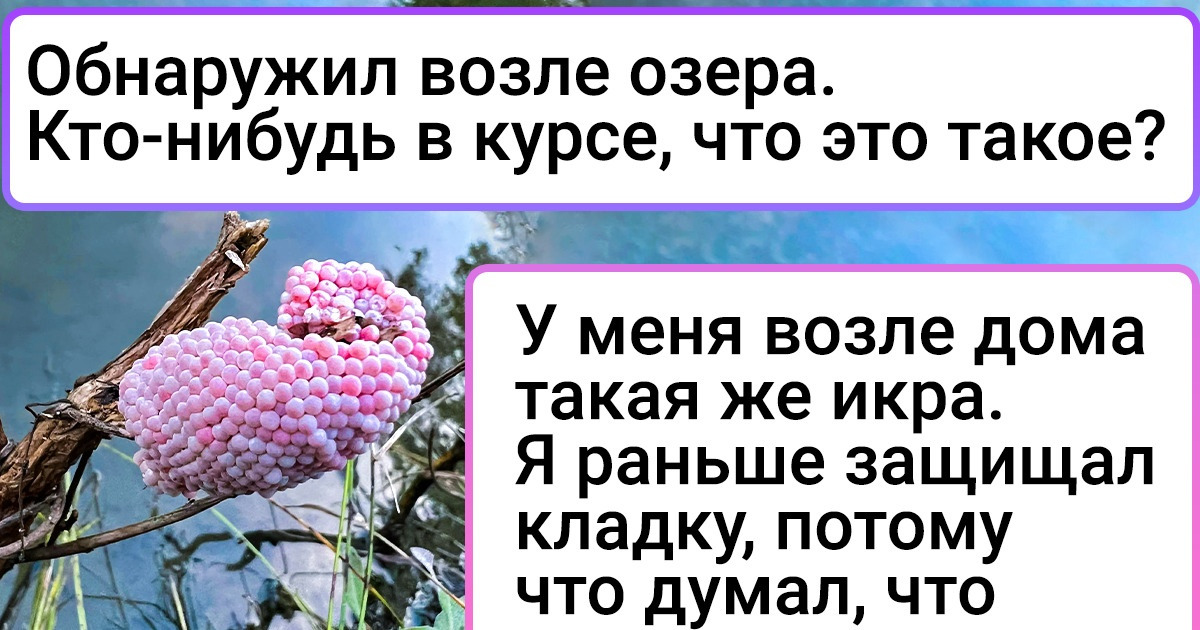18 умников, которые не стали задирать нос, а поделились своей любовью к науке со всем интернетом