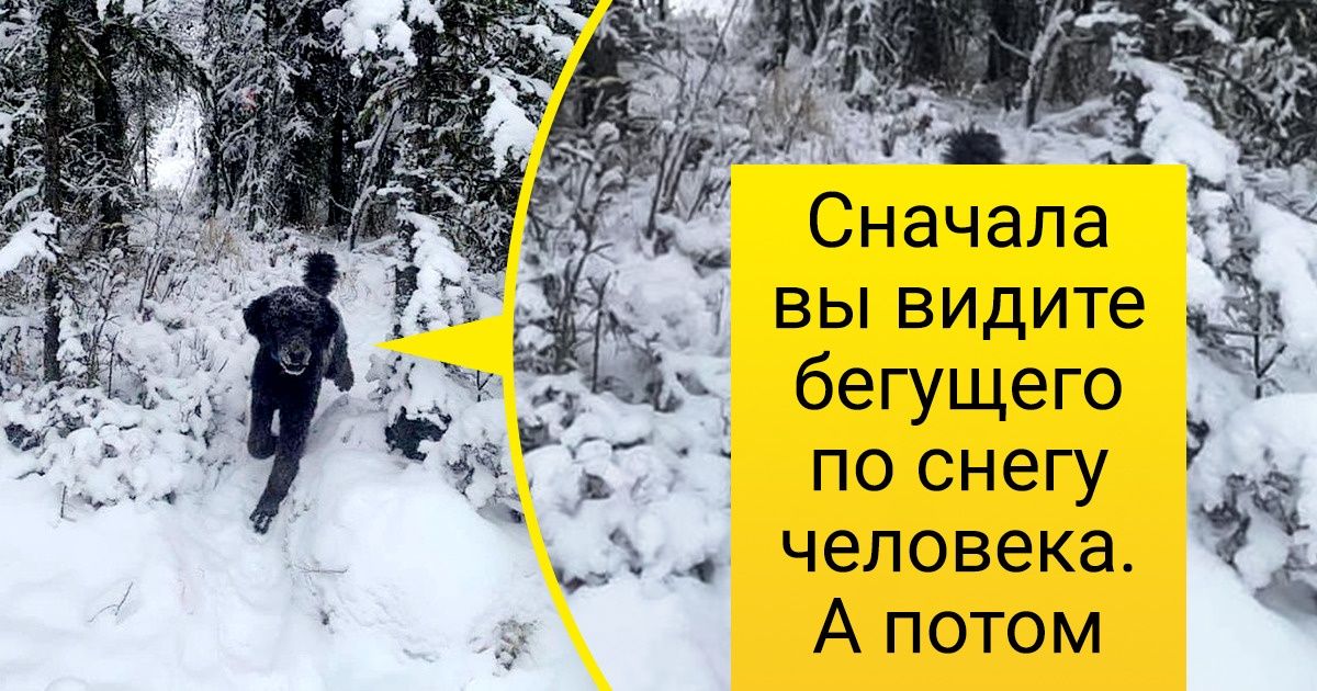 19 фото с нестандартным ракурсом, ради которых все звезды на небе сошлись 19 фото с нестандартным ракурсом, ради которых все звезды на небе сошлись