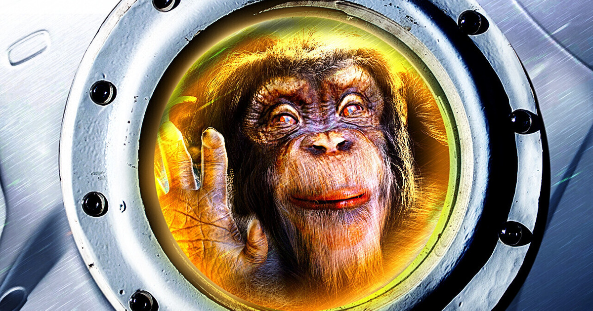 Что может выжить в космосе? Что может выжить в космосе?